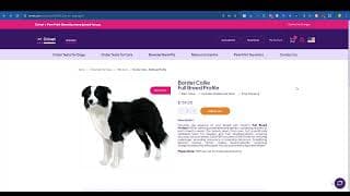 How to order your DNA Testing Kits