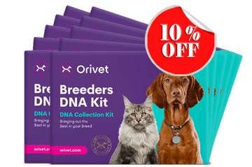 Feline Full Breed Profile MultiPack (10 pack)